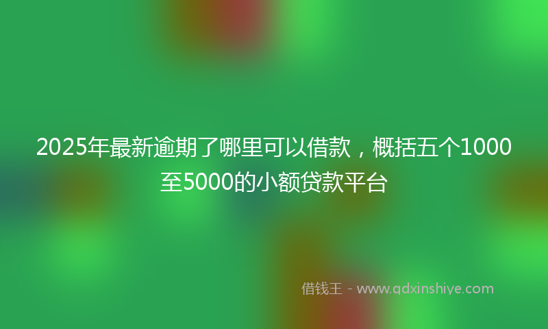 2025年最新逾期了哪里可以借款，概括五个1000至5000的小额贷款平台