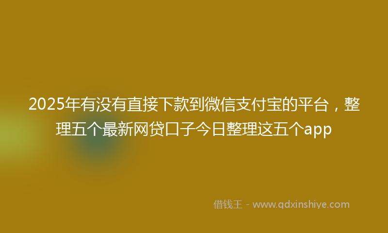 2025年有没有直接下款到微信支付宝的平台，整理五个最新网贷口子今日整理这五个app