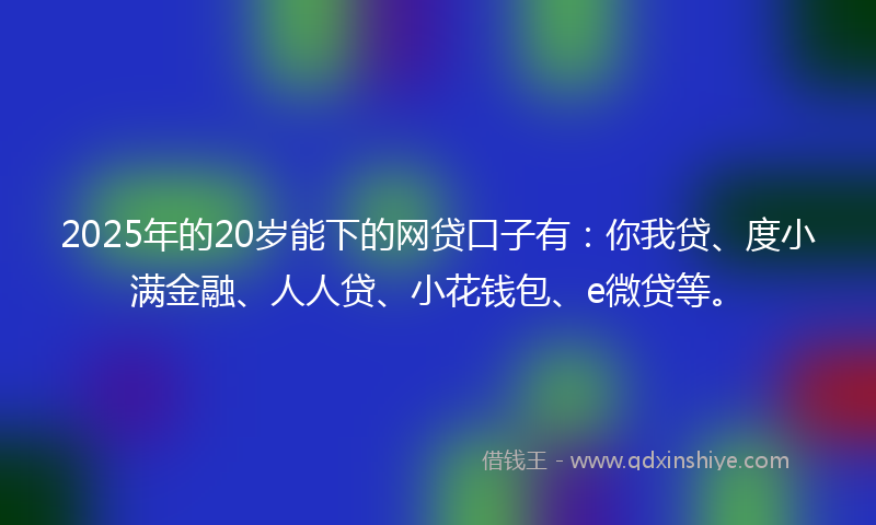 2025年的20岁能下的网贷口子有：你我贷、度小满金融、人人贷、小花钱包、e微贷等。