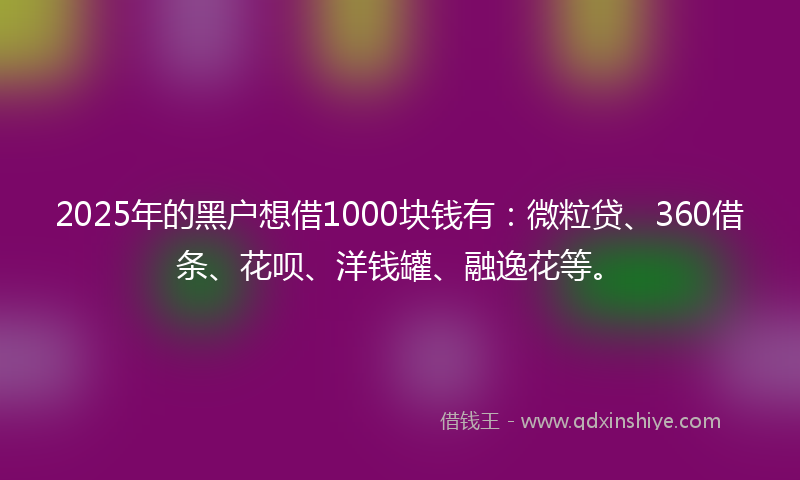 2025年的黑户想借1000块钱有：微粒贷、360借条、花呗、洋钱罐、融逸花等。
