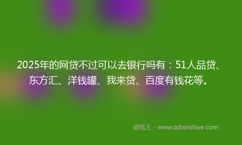 2025年的网贷不过可以去银行吗有：51人品贷、东方汇、洋钱罐、我来贷、百度有钱花等。