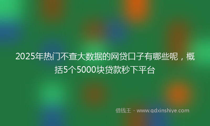 2025年热门不查大数据的网贷口子有哪些呢，概括5个5000块贷款秒下平台