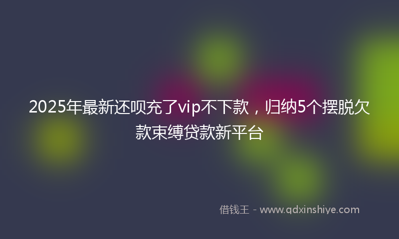 2025年最新还呗充了vip不下款，归纳5个摆脱欠款束缚贷款新平台