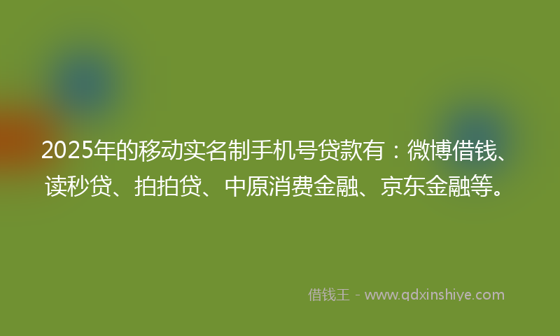 2025年的移动实名制手机号贷款有：微博借钱、读秒贷、拍拍贷、中原消费金融、京东金融等。