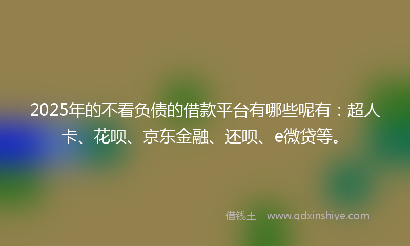 2025年的不看负债的借款平台有哪些呢有：超人卡、花呗、京东金融、还呗、e微贷等。
