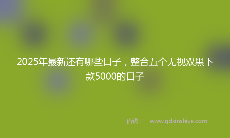 2025年最新还有哪些口子，整合五个无视双黑下款5000的口子