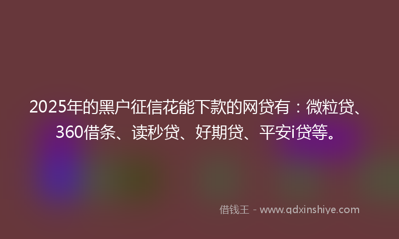 2025年的黑户征信花能下款的网贷有:微粒贷、360借条、读秒贷、好期贷、平安i贷等。