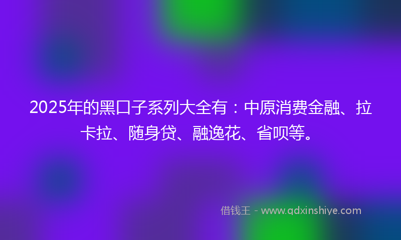2025年的黑口子系列大全有：中原消费金融、拉卡拉、随身贷、融逸花、省呗等。