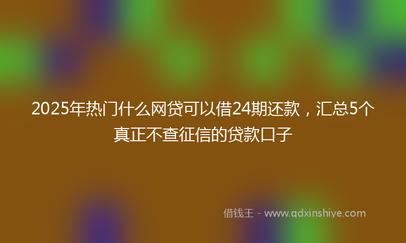 2025年热门什么网贷可以借24期还款，汇总5个真正不查征信的贷款口子