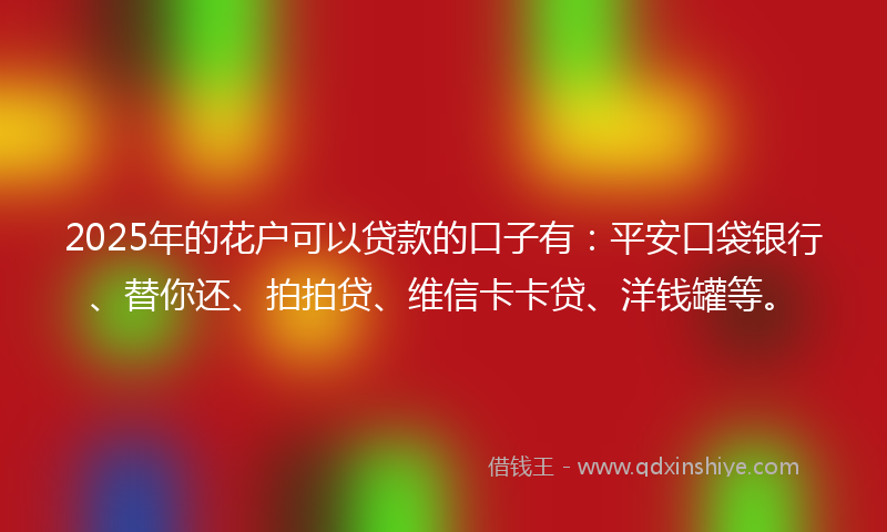 2025年的花户可以贷款的口子有：平安口袋银行、替你还、拍拍贷、维信卡卡贷、洋钱罐等。