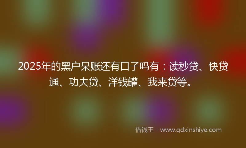2025年的黑户呆账还有口子吗有:读秒贷、快贷通、功夫贷、洋钱罐、我来贷等。