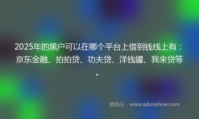 2025年的黑户可以在哪个平台上借到钱线上有:京东金融、拍拍贷、功夫贷、洋钱罐、我来贷等。