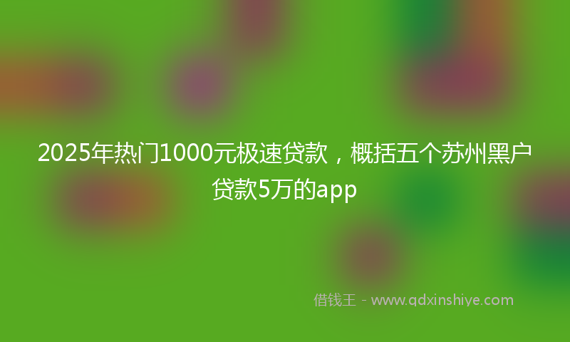 2025年热门1000元极速贷款，概括五个苏州黑户贷款5万的app