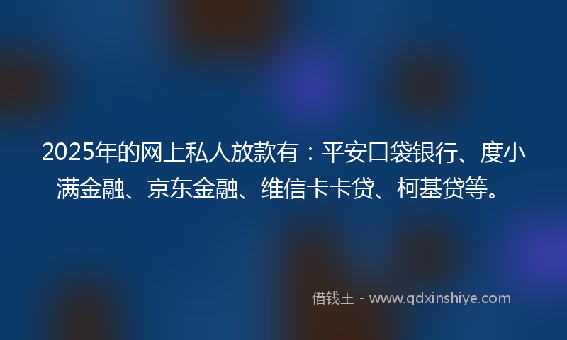 2025年的网上私人放款有：平安口袋银行、度小满金融、京东金融、维信卡卡贷、柯基贷等。