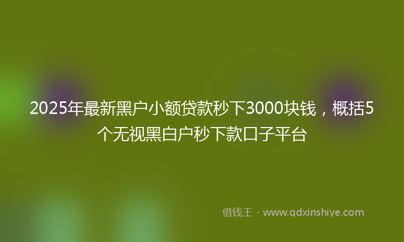 2025年最新黑户小额贷款秒下3000块钱，概括5个无视黑白户秒下款口子平台