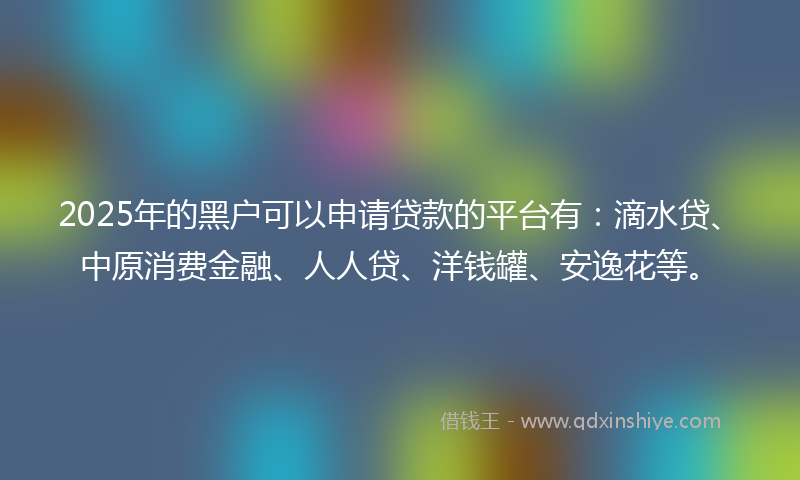 2025年的黑户可以申请贷款的平台有：滴水贷、中原消费金融、人人贷、洋钱罐、安逸花等。