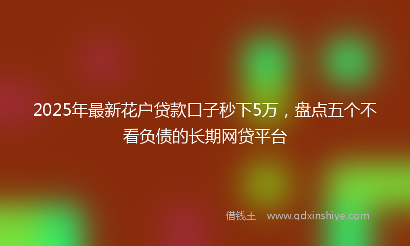 2025年最新花户贷款口子秒下5万，盘点五个不看负债的长期网贷平台
