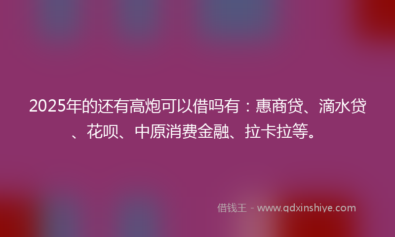 2025年的还有高炮可以借吗有：惠商贷、滴水贷、花呗、中原消费金融、拉卡拉等。