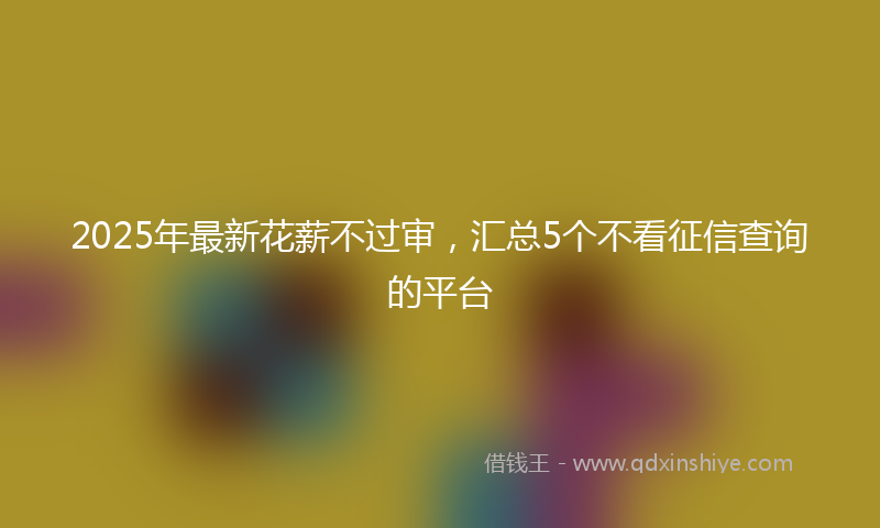 2025年最新花薪不过审，汇总5个不看征信查询的平台