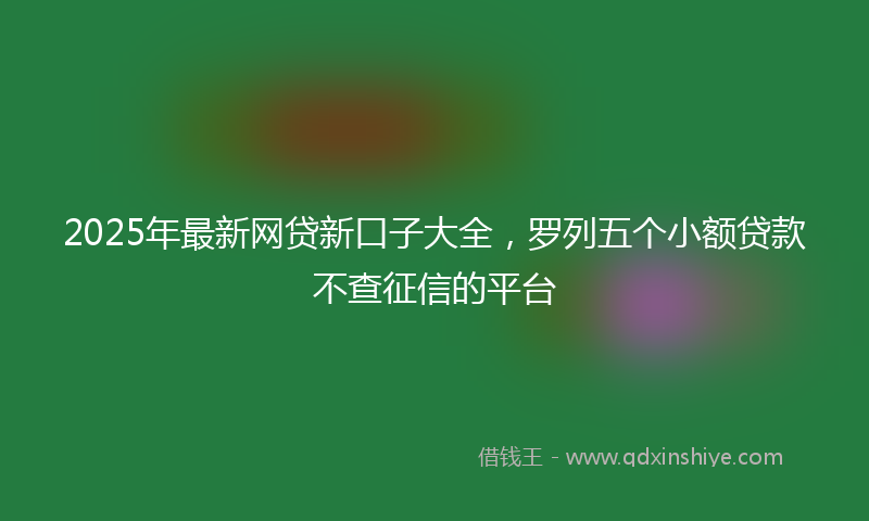 2025年最新网贷新口子大全，罗列五个小额贷款不查征信的平台