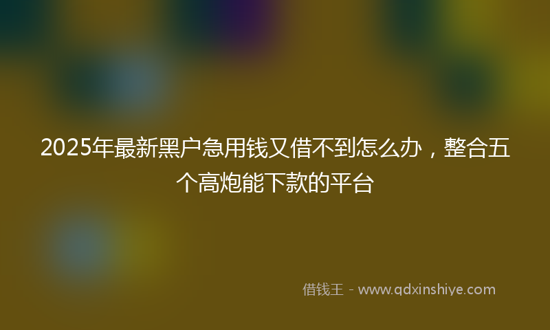 2025年最新黑户急用钱又借不到怎么办，整合五个高炮能下款的平台