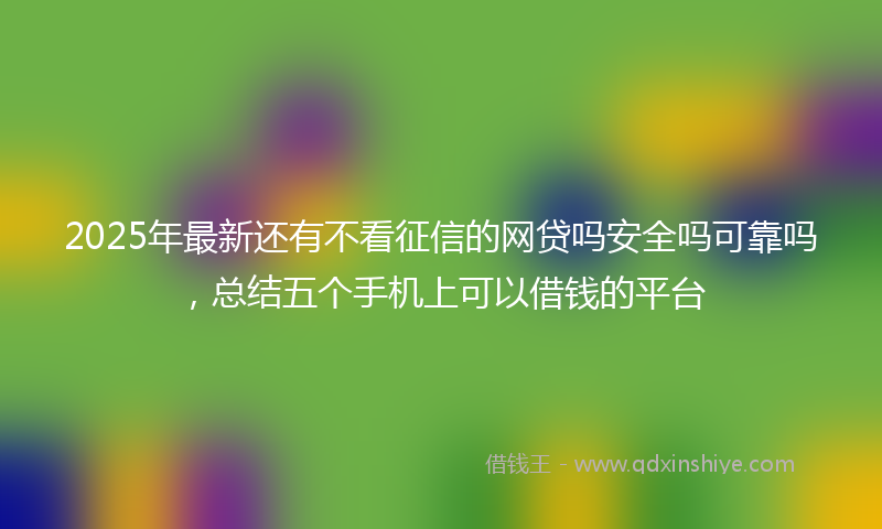 2025年最新还有不看征信的网贷吗安全吗可靠吗，总结五个手机上可以借钱的平台