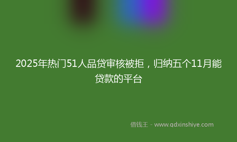 2025年热门51人品贷审核被拒，归纳五个11月能贷款的平台