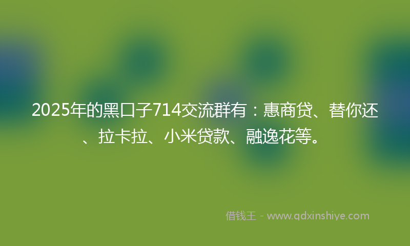 2025年的黑口子714交流群有：惠商贷、替你还、拉卡拉、小米贷款、融逸花等。