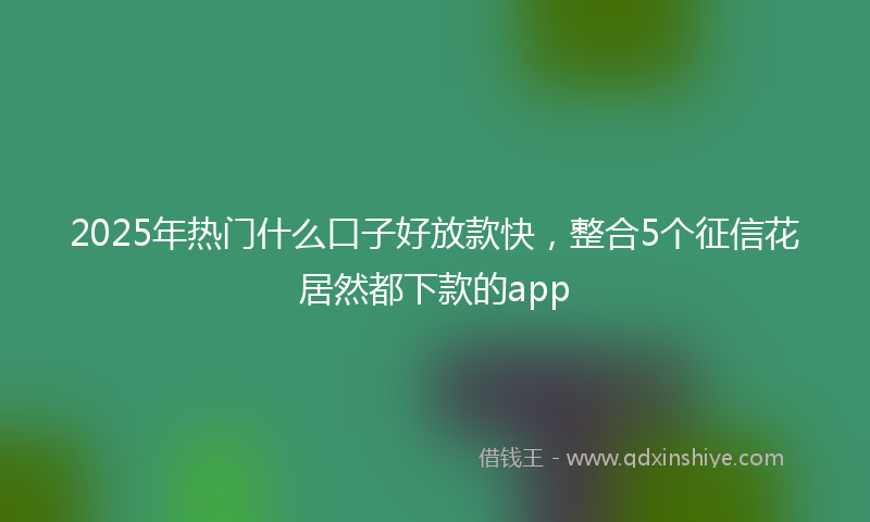2025年热门什么口子好放款快，整合5个征信花居然都下款的app