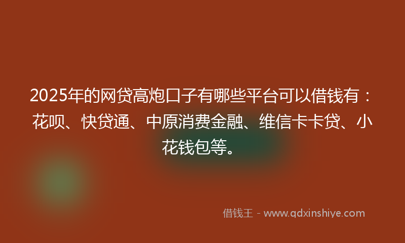 2025年的网贷高炮口子有哪些平台可以借钱有：花呗、快贷通、中原消费金融、维信卡卡贷、小花钱包等。