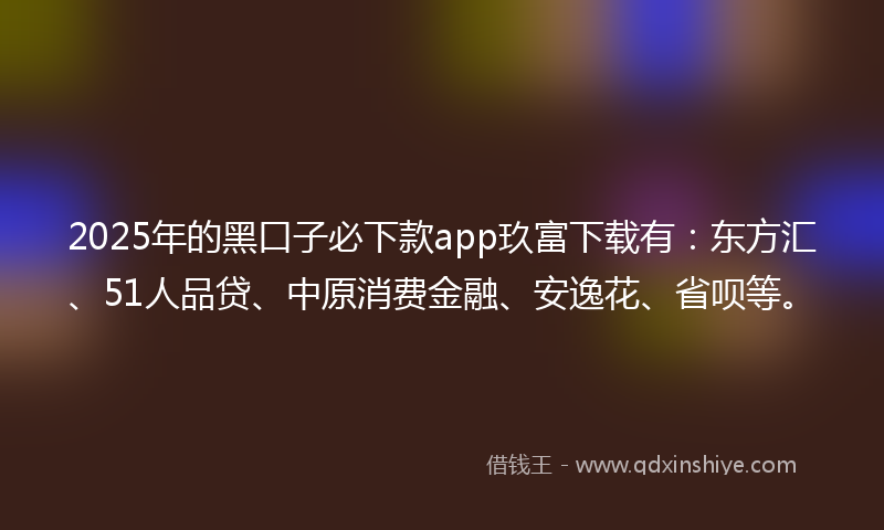 2025年的黑口子必下款app玖富下载有：东方汇、51人品贷、中原消费金融、安逸花、省呗等。