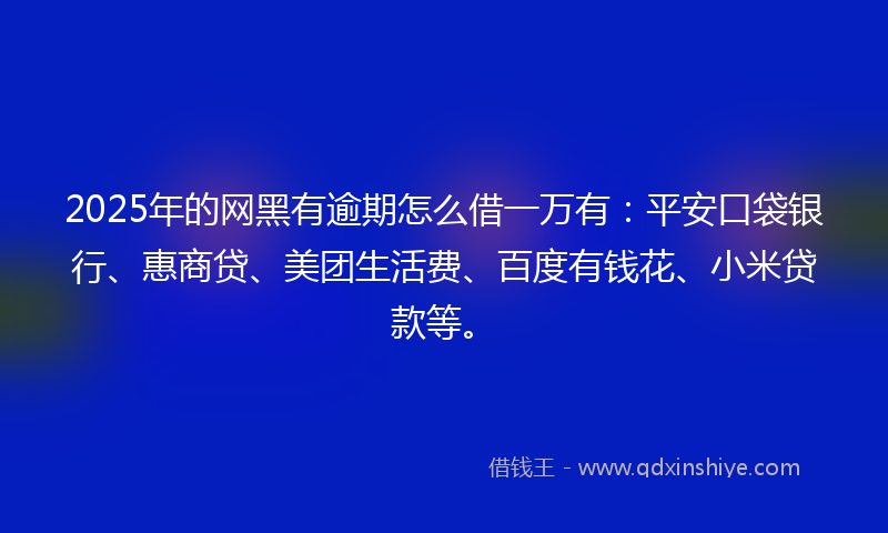 2025年的网黑有逾期怎么借一万有：平安口袋银行、惠商贷、美团生活费、百度有钱花、小米贷款等。