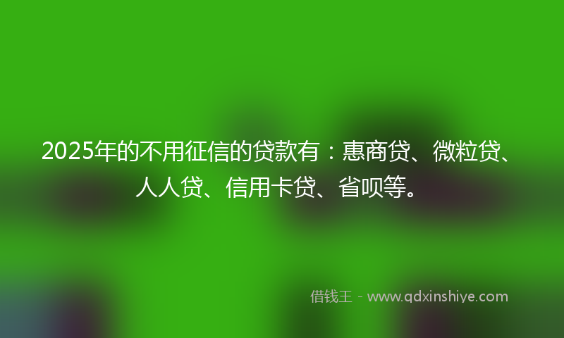 2025年的不用征信的贷款有：惠商贷、微粒贷、人人贷、信用卡贷、省呗等。