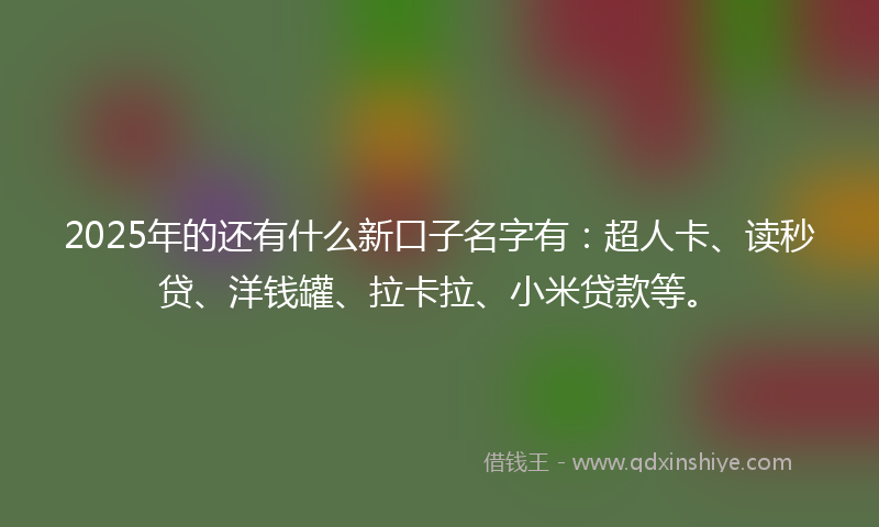 2025年的还有什么新口子名字有：超人卡、读秒贷、洋钱罐、拉卡拉、小米贷款等。
