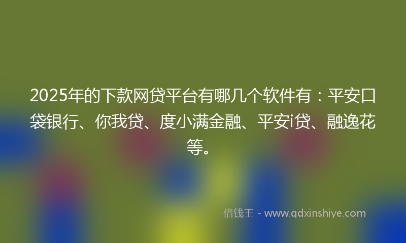 2025年的下款网贷平台有哪几个软件有：平安口袋银行、你我贷、度小满金融、平安i贷、融逸花等。