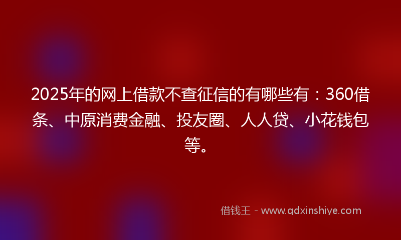 2025年的网上借款不查征信的有哪些有：360借条、中原消费金融、投友圈、人人贷、小花钱包等。