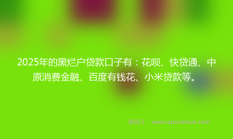 2025年的黑烂户贷款口子有：花呗、快贷通、中原消费金融、百度有钱花、小米贷款等。