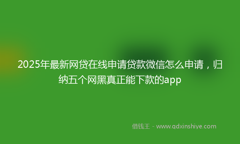 2025年最新网贷在线申请贷款微信怎么申请，归纳五个网黑真正能下款的app