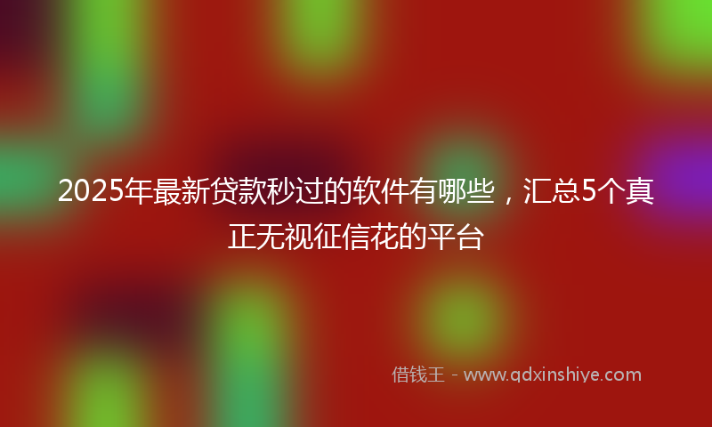 2025年最新贷款秒过的软件有哪些，汇总5个真正无视征信花的平台