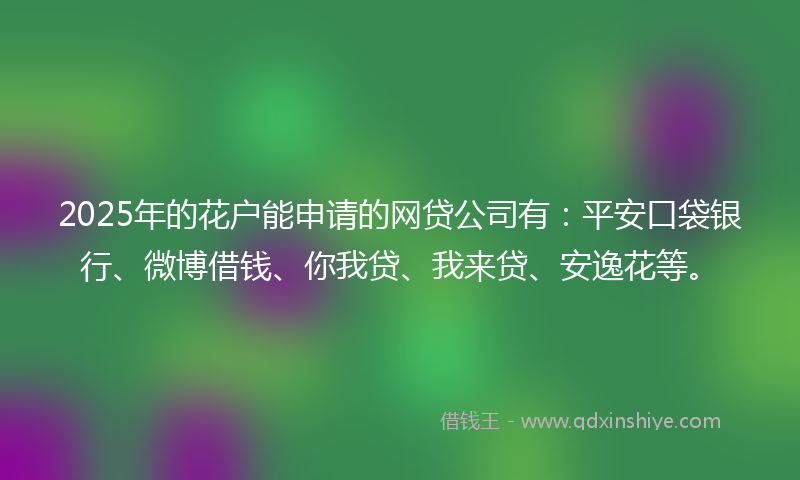 2025年的花户能申请的网贷公司有：平安口袋银行、微博借钱、你我贷、我来贷、安逸花等。