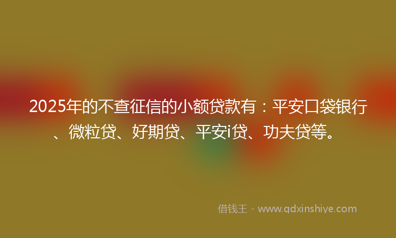 2025年的不查征信的小额贷款有：平安口袋银行、微粒贷、好期贷、平安i贷、功夫贷等。