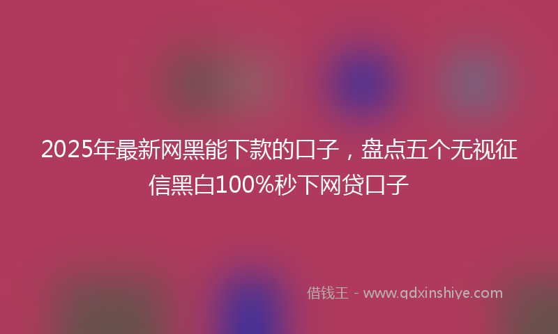 2025年最新网黑能下款的口子，盘点五个无视征信黑白100%秒下网贷口子