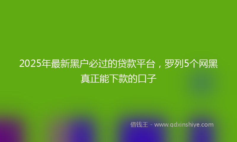 2025年最新黑户必过的贷款平台，罗列5个网黑真正能下款的口子