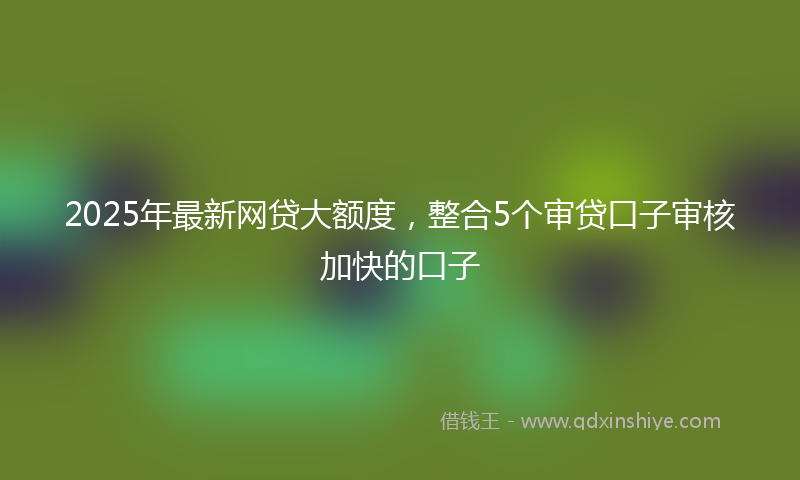 2025年最新网贷大额度，整合5个审贷口子审核加快的口子