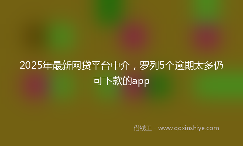 2025年最新网贷平台中介，罗列5个逾期太多仍可下款的app