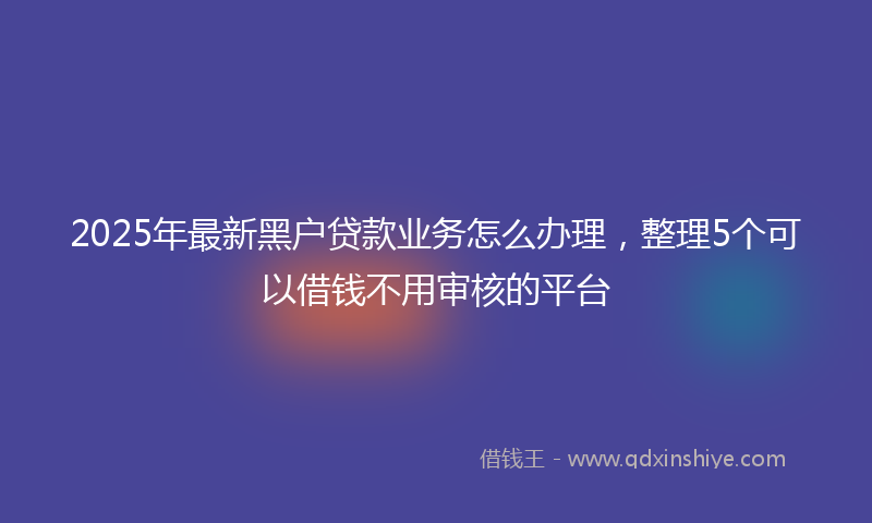 2025年最新黑户贷款业务怎么办理，整理5个可以借钱不用审核的平台