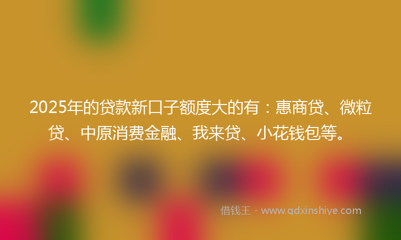2025年的贷款新口子额度大的有：惠商贷、微粒贷、中原消费金融、我来贷、小花钱包等。