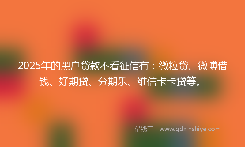 2025年的黑户贷款不看征信有：微粒贷、微博借钱、好期贷、分期乐、维信卡卡贷等。