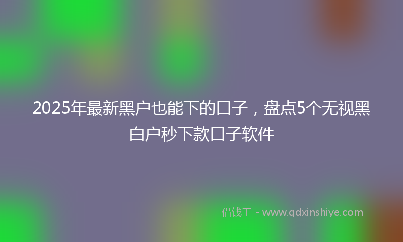 2025年最新黑户也能下的口子，盘点5个无视黑白户秒下款口子软件