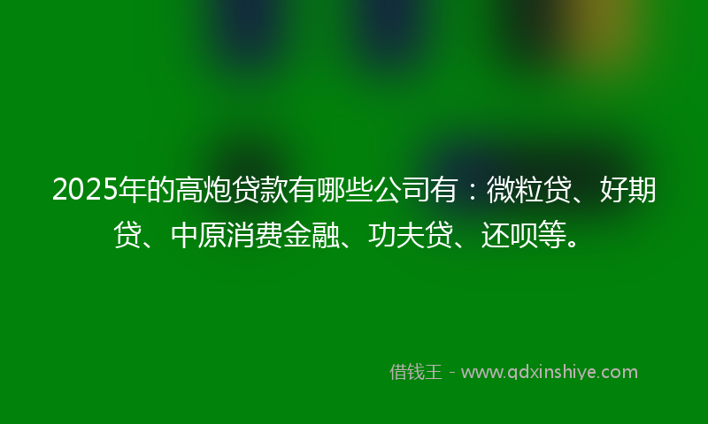 2025年的高炮贷款有哪些公司有：微粒贷、好期贷、中原消费金融、功夫贷、还呗等。